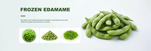 Edamame Congelado al por Mayor de Primera Calidad: Vegetal Verde de Alta Calidad para el Mercado Global - Product Image 4