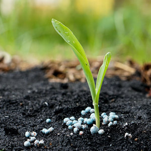 Engrais soluble de nitrate de prill de haute qualité pour l'agriculture Fournisseur en gros pour les plantes d'intérieur, les plantes succulentes et la culture hydroponique - Product Image 5