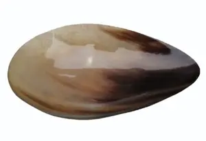 Plato de cuerno de buey personalizado de buena calidad para mesa de comedor casera forma rectangular cuerno Natural Color frutas bandeja para servir precio al por mayor - Product Image 2