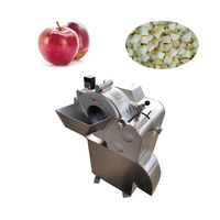 HAVERY Commerciële RVS Multifunctionele Fruit- en Groentesnijder Machine voor Restaurantgebruik Appel Wortel Blokjes Snijder