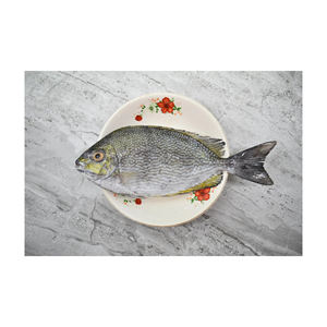 Conejo y pescado congelados a precio de descuento, disponibles para suministro al por mayor con entrega rápida - Product Image 4