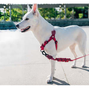 Harnais de luxe Soft Walk pour chats, tailles S, M, XL, en nylon et polyester respirant, couleur bordeaux unie, gilet simple et élégant pour l'extérieur - Product Image 4