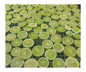 Lima secada al aire de grado premium, aroma natural fresco: rodajas de cal seca vietnamita para venta al por mayor internacional - Product Image 5