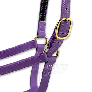 Cabestro de caballo resistente con banda para la nariz acolchada suave y corona para mayor comodidad y control Cabestro de caballo - Product Image 4