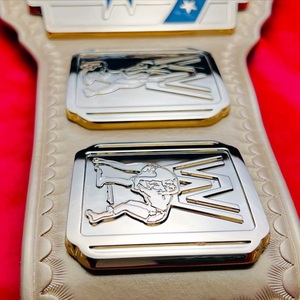 Ceinture de championnat personnalisée Options de conception uniques Matériaux durables parfaits pour les matches de lutte Tournois et Cérémonies de remise de prix - Product Image 3