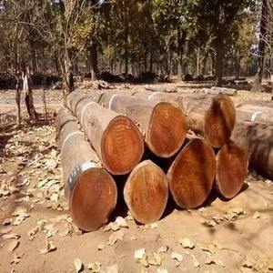 Troncos de madera IROKO/Madera de Rosa/Doussie/IROKO - Product Image 2