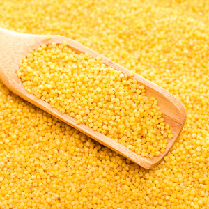 High Quality Dried Green Organic Yellow <b>Millet</b> Special Grade 5kg Factory Direct Wholesale - Product Image 5