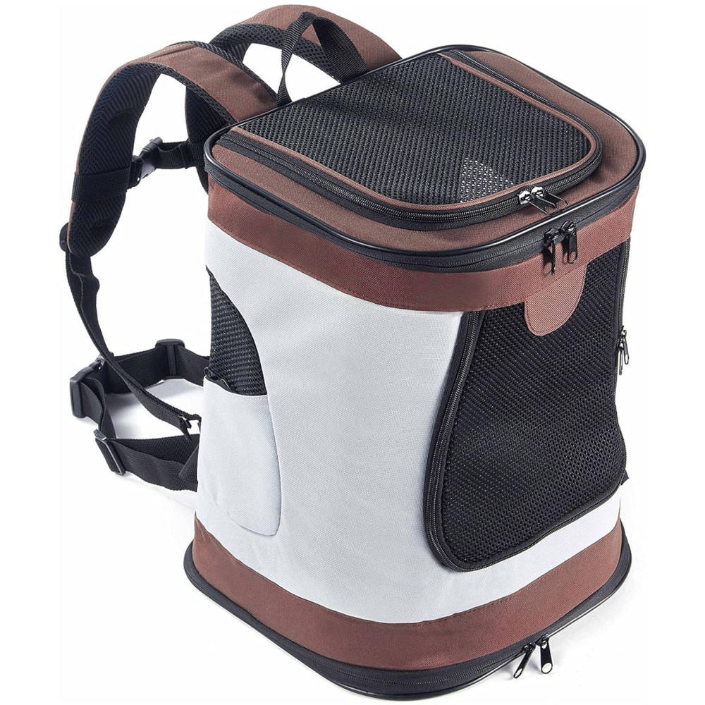 สีน้ำตาลและสีขาว