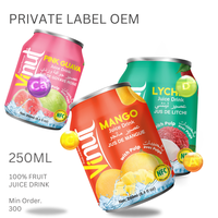 Gratis Monster-250Ml Kan 100% Vruchtensap Drinken: Mango, Sinaasappel, Lychee-Groothandel Frisdrank-Private Label Oem