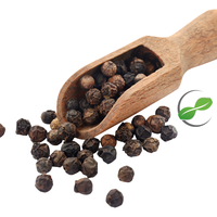 Especias Tradicionales Indonesias Premium, 25 KG de Pimienta de Tierra Cruda Seca, Lista para Enviar a Todo el Mundo, Empacada en Bolsas de Yute