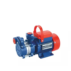 AquaGold 1 HP <b>Water</b> <b>Pump</b> Motor | Domestic & Agricultural Copper Winding <b>Pump</b> Export - Product Image 1