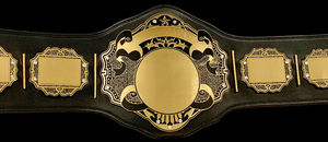 Cinturones de campeonato de Kick Boxing personalizados Unisex de alta calidad, piel de vaca genuina azul con logotipo personalizado, cinturones de MMA para adultos al por mayor - Product Image 2