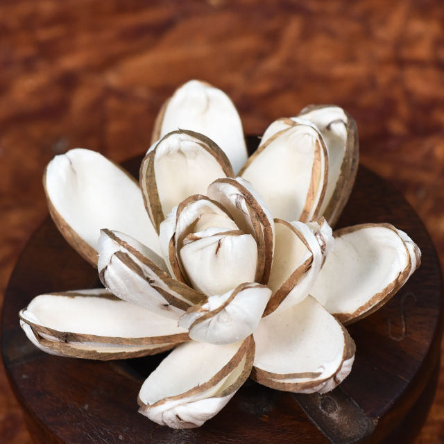 ธรรมชาติ