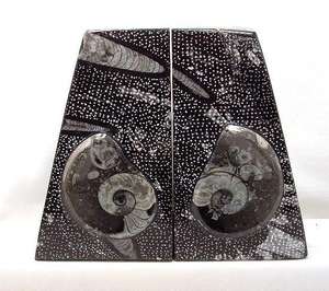 Platos y Cuencos Tallados en Piedra Fósil - Regalo Empresarial Estilo Hada - Product Image 6