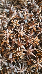 Anís estrellado roto al por mayor precio de fábrica anís estrellado excelente-ANNA DO W/A + 84982153058 - Product Image 5