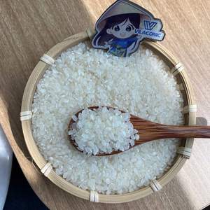 ANGOLA IMPORTE DU RIZ DU VIETNAM |   Riz australien en anglais : Japonica, riz jasmin, riz à grains longs - Product Image 4