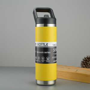 CL 600ml 20oz Stainless Steel Vacuum Insulated Water <b>Bottle</b> with Overhead Carry Handle Leak Proof Travel <b>Thermos</b> - Product Image 1