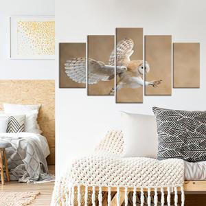 Lienzo Impreso: Búho Granero Antes del Ataque - Elegante Decoración de Pared con Animales, Juego de 5 Lienzos Variados - Product Image 1