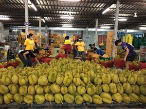 DurianSweet Fresh Durian Pack en boîte de Thaïlande/OEM mensuel de Durian biologique frais et congelé - Product Image 2