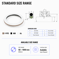 Joint rotatif RDI en PTFE energisé, composé de carbone et NBR, pour étanchéité statique de cylindre hydraulique rotatif et d'arbre rotatif