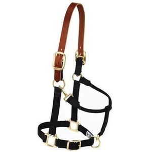 Licol de cheval en cuir entièrement surélevé et rembourré avec raccords en laiton réglable couleur marron - Product Image 1