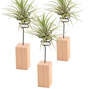 Étagère métallique moderne personnalisée pour plantes, support en fer pour pots de fleurs pour balcons de jardin - Product Image 2