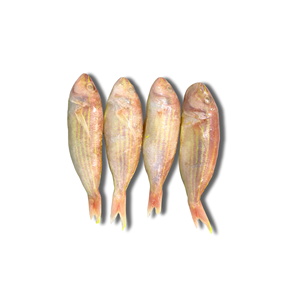 Poisson congelé entier rond Threadfin Bream Poisson congelé de haute qualité Vente en gros Fruits de mer IQF Vietnam Exportation Prix compétitif - Product Image 1