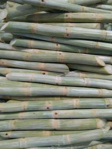 FROZEN SUGARCANE <b>STICKS</b> / CLEAN LABEL / PLANT-BASED / NATURAL SWEETNESS - Product Image 6