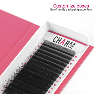 Extensions de cils allemandes faites à la main en PBT de type YY, application facile et rapide, 0.05, en vrac personnalisé, effet wispy, bouquets préfabriqués 7D, cils naturels - Product Image 5