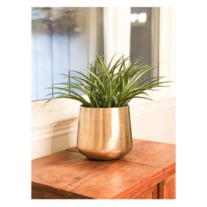 Jardinière en métal de qualité supérieure, utilisée pour le jardinage d'intérieur et la décoration de la maison - Product Image 6