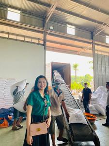 Échantillon gratuit d'herbe de poivre noir séché riche en nutriments de vente chaude modèle de variété d'exportation de processus cru de poivre noir épicé chaud - Product Image 2