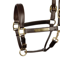 Créez votre propre logo – Licol et bride pour cheval en acier inoxydable, cuir et nylon – Marque OEM, couleur personnalisée, sécurité, endurance, course, anti-mouches