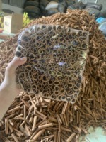 Bâtonnets de cannelle les plus vendus du Vietnam / Cannelle de Ceylan, excellente épice, 12 mois - VietDelta, brune naturelle brute - M. Pierre Luu