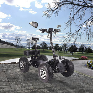 สกู๊ตเตอร์ไฟฟ้ากอล์ฟแบบพับได้ 4 ล้อ มอเตอร์ขับเคลื่อนคู่ 200/400 วัตต์ ความเร็ว 24 กม./ชม. ระยะทาง 54 หลุม รับน้ำหนักได้ 300 กก. พร้อมหน้าจอแสดงผล - Product Image 2