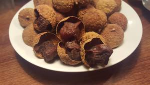 Venta al por mayor de Vietnam, longan seco sin semillas y lichi seco, dulce aperitivo natural, ideal para mercados de alimentos saludables - Product Image 5
