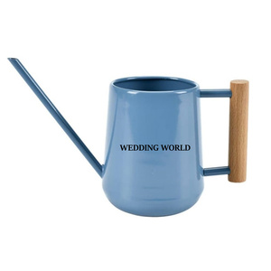Arrosoir en métal bleu thermolaqué, taille personnalisée, arrosoir vintage, arrosoir en métal classique et élégant, vente en gros - Product Image 1