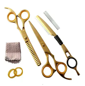 Wirtschaft liche scharfe Klinge Friseur Golden Friseur Schneid schere Haars chere Set Bestseller Instrumente