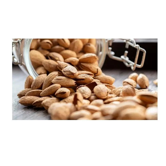high quality badam almond nuts raw almonds kernels almond usa californie