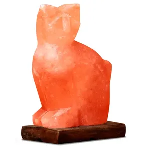 Cat Shape Himalayan Salt Lamp Purifies Air with Wooden Base Decoration Love Gift with custom packing Wholesale From Pakistan