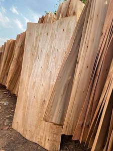 Prix bon marché placage de noyau de bois d'eucalyptus/acacia/caoutchouc de taille personnalisée du Vietnam-placage de bois de coupe rotative naturelle - Product Image 4