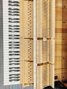 Piano à queue Yamaha G2E haute performance avec design classique pour scène et studio, offrant un son acoustique riche G2 G3 G4 G5 G6 - Product Image 3
