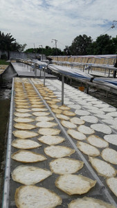 ปลาทะเลก้นแห้งขนาด40-50ชิ้น/กก. สำหรับทำอาหารจากเวียดนาม - Product Image 2