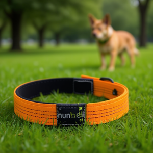 Collare per Cani in Neoprene con Tripla Riflettività e Motivo Tank Unico, Collari Eleganti per Animali Domestici - Product Image 3