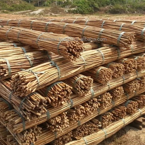 ไม้ไผ่ vfarmex | ผู้ผลิตโรงงานผู้ส่งออกเวียดนาม | ขายส่งวัสดุไม้ไผ่ธรรมชาติ - Product Image 1