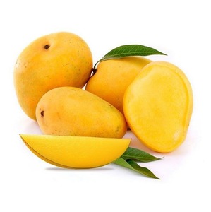 premium export quality white chaunsa honey mango from pakistan