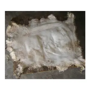 Direct Supplier Of Dry Salted Sheep Skins / Sheep Hides At Wholesale Price