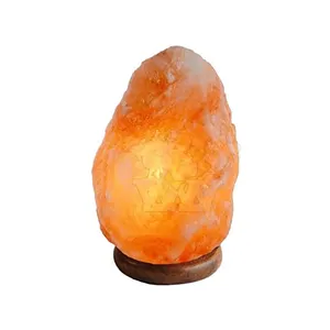 Wholesale Pakistan natural crystal rock carved pyramid shaped pink Himalayan salt lamp Mushroom Shape