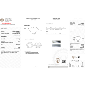 เพชร VS1หกเหลี่ยมปลูกในห้องปฏิบัติการได้รับการรับรอง IGI สี D polish EX VS ความคมชัดขนาด1.1กะรัต - Product Image 2