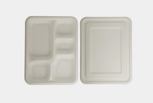 Assiettes jetables en bagasse de qualité supérieure, biodégradables, pour la restauration, les pique-niques, les fêtes et les plats à emporter - Product Image 4