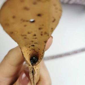 Cordon pour poignées de sac à main roulées 10 mm - Product Image 6